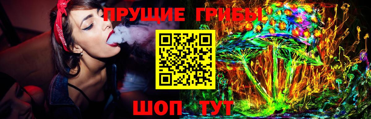 Партизанск  Галлюциногенные грибы Psilocybe  Вход с VPN 